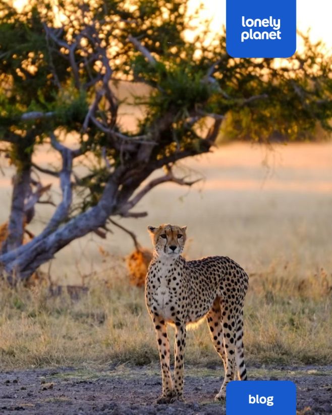 Stále ještě máte čas vměstnat do tohoto roku svou poslední dovolenou. Prosinec můžete strávit schoulení u krbu s horkým...